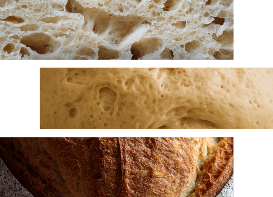 Masa Madre